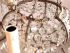 1920's beaded empire chandelier (11-65)